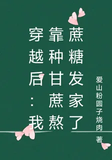 穿越後：我靠種甘蔗熬蔗糖發家了 封面