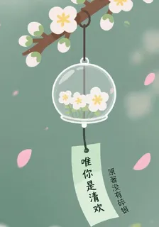 唯你是清歡 封面