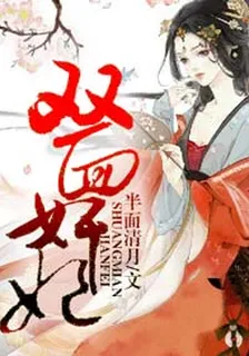 雙面奸妃 封面