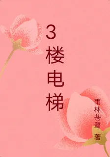 3樓電梯 封面