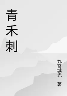 青禾刺 封面