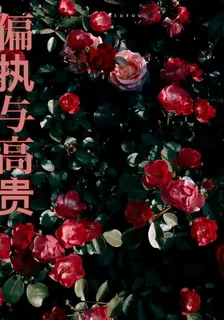 偏執與高貴 封面
