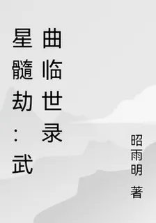 星髓劫：武曲臨世錄 封面