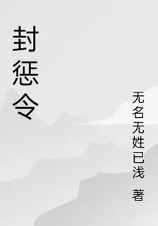 封懲令 封面