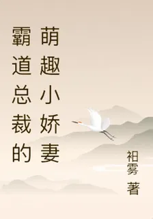 霸道總裁的萌趣小嬌妻 封面