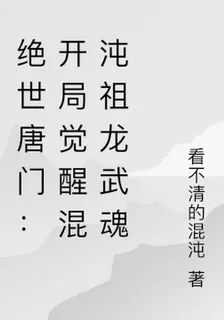 絕世唐門：開局覺醒混沌祖龍武魂 封面