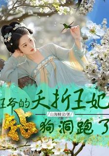 王爺的夭折王妃鑽狗洞跑了 封面
