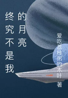 終究不是我的月亮 封面