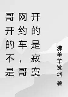 哥開的不是網約車，哥開的是寂寞 封面
