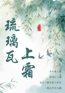 琉璃瓦上霜 封面