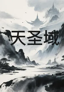 天聖域 封面