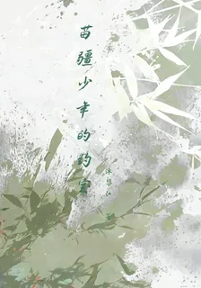 苗疆少年的約定 封面