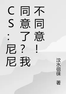 CS：尼尼同意了？我不同意！ 封面