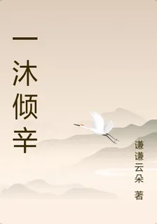一沐傾辛 封面