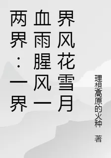 兩界：一界血雨腥風一界風花雪月 封面
