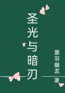 聖光與暗刃 封面