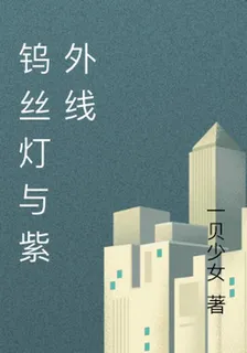 鎢絲燈與紫外線 封面