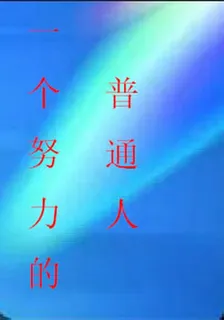 一個努力的普通人生 封面