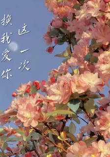 這一次讓我愛你 封面