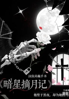 暗星摘月記 封面