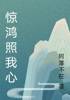 驚鴻照我心 封面