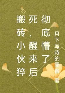 搬磚小夥猝死，醒來後徹底懵了 封面