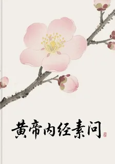 黃帝內經素問梅花版 封面