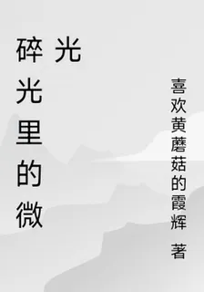 碎光裏的微光 封面