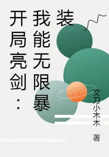 開局亮劍：我能無限暴裝 封面