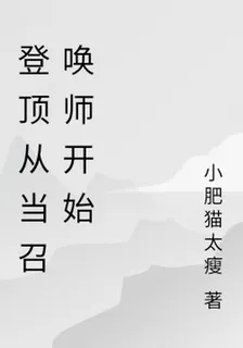 登頂從當召喚師開始 封面
