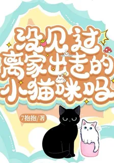 沒見過離家出走的小貓咪嗎 封面