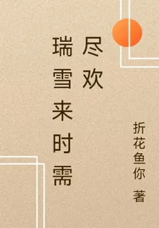 瑞雪來時需盡歡 封面