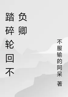 踏碎輪迴不負卿 封面
