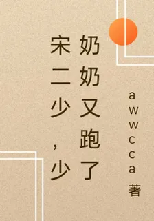 宋二少，少奶奶又跑了 封面