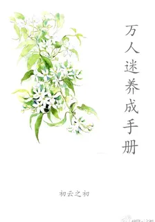 萬人迷養成手冊（系統） 封面