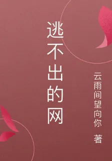 逃不出的網 封面