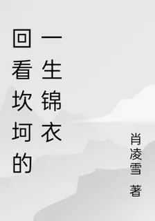 回看坎坷的一生錦衣 封面