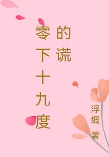零下十九度的謊 封面