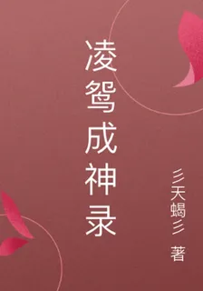 凌鴛成神錄 封面