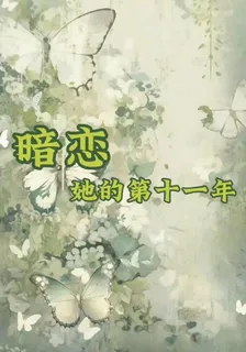 暗戀她的第十一年 封面
