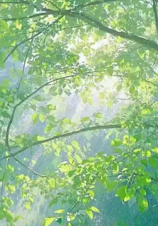 酸澀暗戀方程式 封面