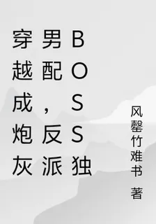 穿越成炮灰男配，反派boss獨 封面
