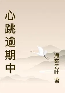 心跳逾期中 封面