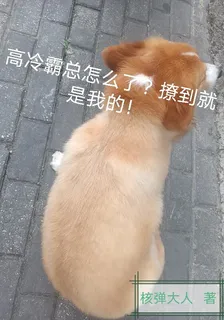 高冷霸總怎麼了？撩到就是我的！ 封面
