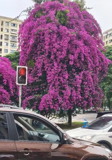 愛喫茶湯的林天怪的新書 封面