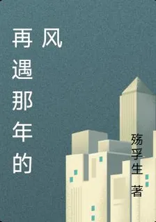 再遇那年的風 封面