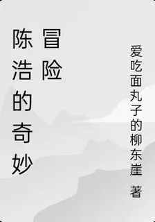 陳浩的奇妙冒險 封面