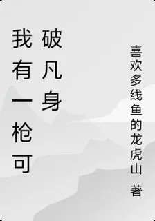 我有一槍可破凡身 封面