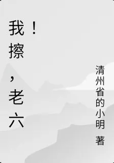 我擦，老六！ 封面