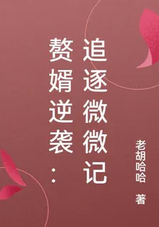 贅婿逆襲：追逐微微記 封面